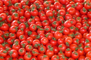 Томаты будут расти как на дрожжах, если полить их этой подкормкой С сайта: pixabay.com