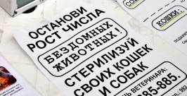 На 14 пушистых беспризорников стало меньше в Иркутске Мария Оленникова