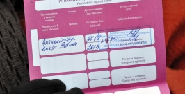 На 14 пушистых беспризорников стало меньше в Иркутске Мария Оленникова