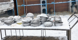 Миски для кормежки Мария Оленникова