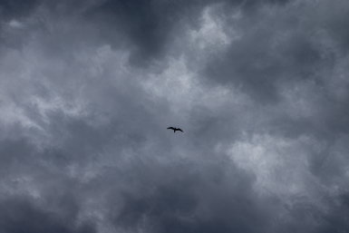 Сильный шторм и дожди прогнозируют на Байкале