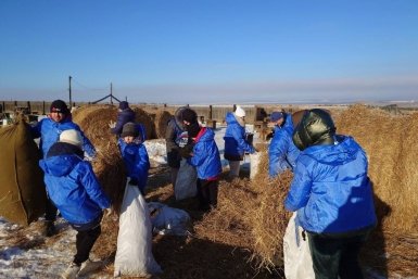 Акция (12+) Иркутское городское отделение &quotЕдиной России&quot
