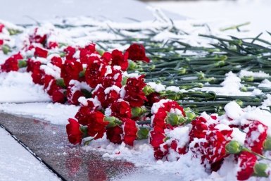 Гвоздики Юлия Ушакова, ИА IrkutskMedia