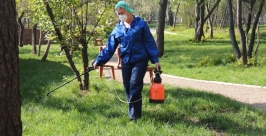 В этом году площадь обработки увеличилась на 100 га  Тимур Балашов, РИА IrkutskMedia