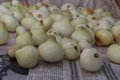 лук ИА EAOMedia, Письменова Ксения