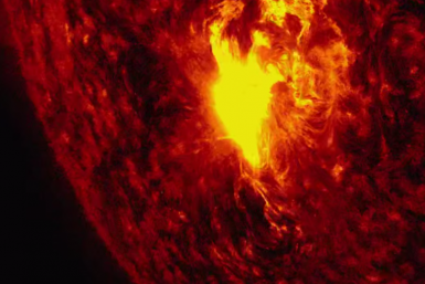 Жители Приангарья могут ощутить последствия мощной вспышки на Солнце в ближайшие дни