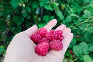 Тематическое фото ИА StavropolMedia