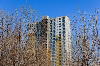 Нарушение правил посадки деревьев приведет к штрафу Евгений  Кулешов, ИА PrimaMedia.ru