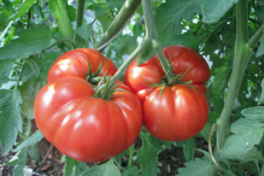 Тематическое фото Сгенерировано ИИ