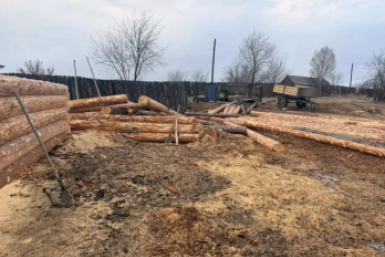 В Нижнеудинском районе мужчина незаконно срубил деревья на 737 тысяч