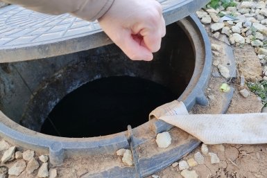 До 350 л в сутки: какой кустарник оставит ассенизаторов без работы - осушает септик за пару дней