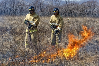 Отжиги сухой травы проведут в двух округах Иркутска 20 апреля