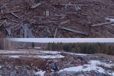 Стихийные свалки обнаружили в лесах Иркутской области на территории 3,6 га