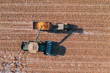 Более 53 тыс. тонн зерна экспортировали из Иркутской области в 2026 году Мария Смитюк, ИА PrimaMedia.ru