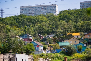 Сосед отделился глухим забором: как вернуть солнечный свет на свой участок