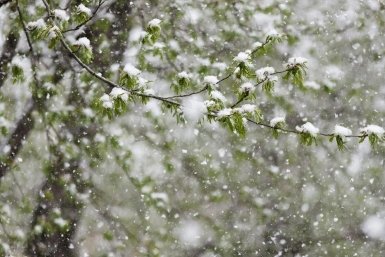 Снег и до +9ºС - прогноз погоды в Иркутской области на 23 апреля