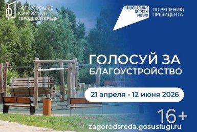 Голосование (16+) правительство Иркутской области