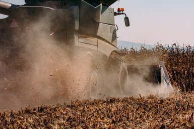 В Иркутской области выявили четыре хозяйства, нарушающие нормативы использования вредных веществ Мария Смитюк, ИА PrimaMedia.ru