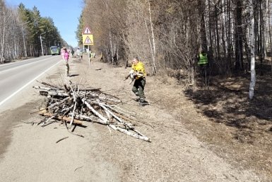 Собранные на субботнике под Иркутском порубочные остатки передадут семьям участников СВО Правительство Иркутской области