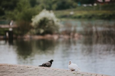 Теплая весенняя погода установится в Иркутске в воскресенье, 26 апреля