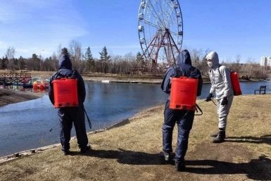 Противоклещевую обработку начали в парках и скверах Иркутска