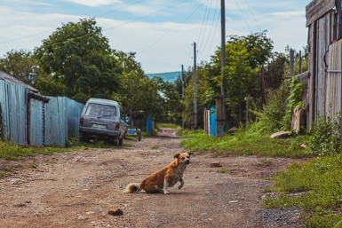 Тематическое фото ИА KrasnodarMedia
