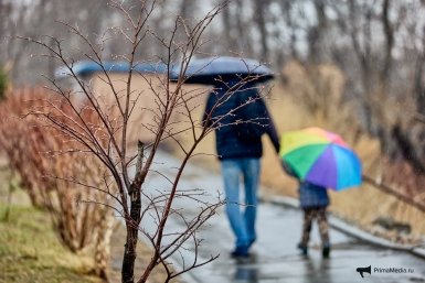 Сильный ветер и дождь - непогода ждет Иркутскую область 5 мая