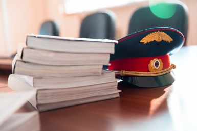 Глава СК затребовал доклад по делу о нападении бродячей собаки на ребенка в Иркутске