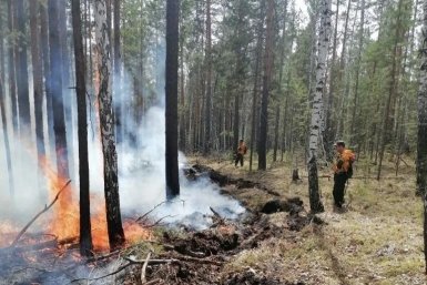В ряде районов Иркутской области с 18 мая вводят особый противопожарный режим