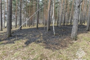 Непотушенная сигарета стала причиной лесного пожара в Черемховвском районе Пресс-служба ГУ МЧС России по Иркутской области