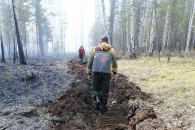 10 лесных пожаров произошло в Иркутской области за три дня