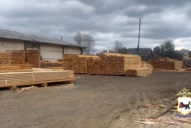 В Приангарье раскрыли схему незаконной вырубки леса на 3 млн рублей