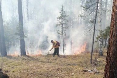 Два лесных пожара ликвидировали в Иркутской области 20 мая