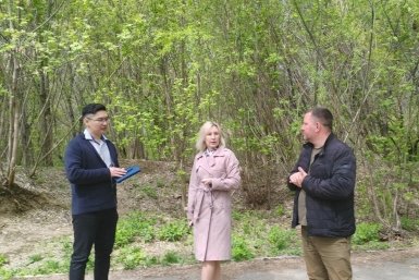 Озеленение территорий проведут в этом году в округах депутатов думы Иркутска Пресс-служба думы города
