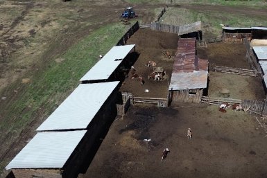 В середине мая обследования провели в Боханском и Эхирит-Булагатском районах пресс-служба Управлении Россельхознадзора по Иркутской области и Республике Бурятия