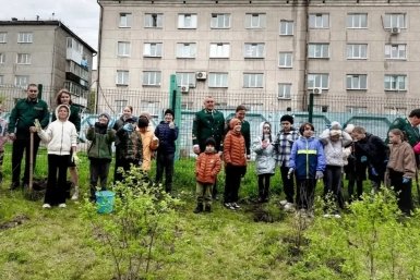В Иркутске откроется новое школьное лесничество