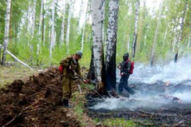В лесах 10 районов Иркутской области высокий класс пожароопасности