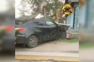 Авто на полном ходу врезалось в дерево в Ленинском районе Иркутска