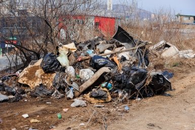 Бастрыкин потребовал доложить о проверке свалки отходов в Усолье-Сибирском