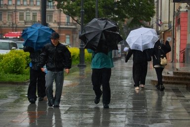 Упавшее дерево придавило восьмилетнего мальчика во время отдыха на Волге