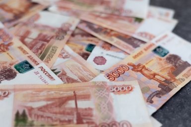 Почти 490 млрд рублей направили на развитие сельского хозяйства России