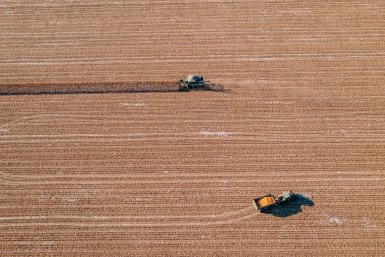 Аграрии Приангарья обработали 313 тысяч га посевов от вредителей и сорняков Мария Смитюк, ИА PrimaMedia.ru