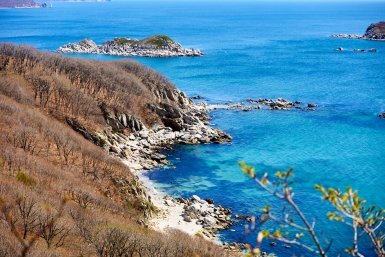 На курорте Египта новый случай нападения морского обитателя на россиянку