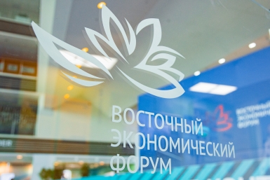 Эссенциальные нутриенты для будущих поколений: создание индустрии детского питания в ДФО обсудят на ВЭФ