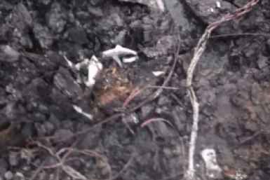 Пожар в садовом доме унёс жизнь 70-летней женщины в Усольском районе Пресс-служба ГУ МЧС России по Иркутской области