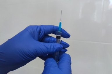 Для помощи в вакцинации скота в Иркутском округе прибыли специалисты из Москвы Елена Гиневская, ИА Stavropol.Media
