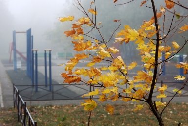 Дожди и заморозки ожидаются местами по Иркутской области 14 сентября