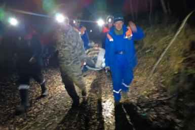 Травмированного сборщика дикоросов спасли от медведя в Слюдянском районе