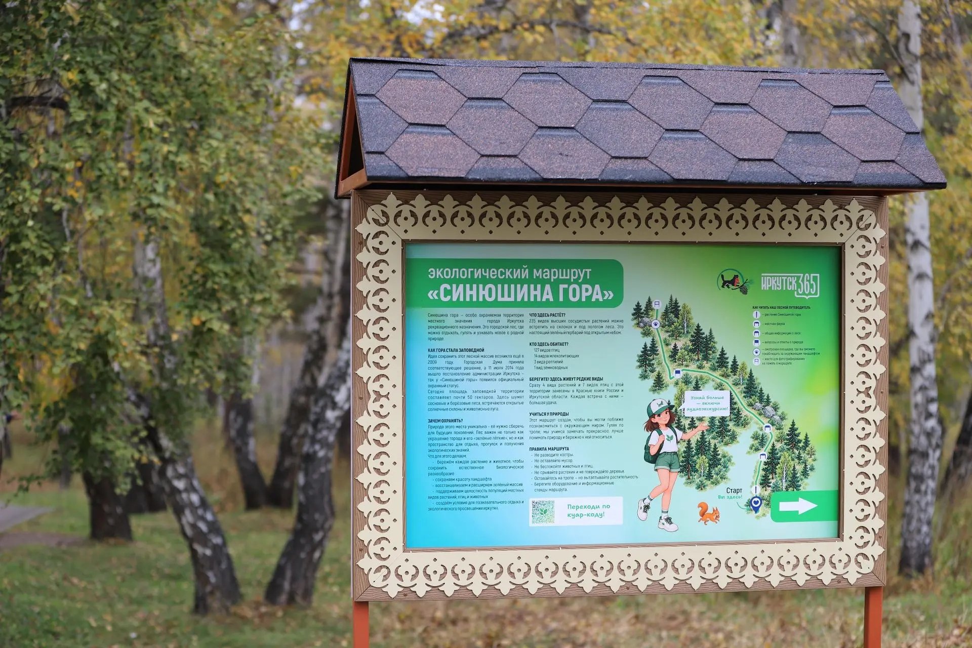 Первый в Иркутске экомаршрут с аудиоэкскурсией появился в роще "Синюшина гора"
