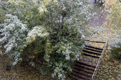 Лестница Мария Оленникова, IrkutskMedia